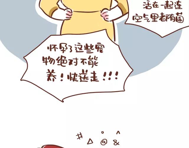 第114话 宠物禁养？！-第113话