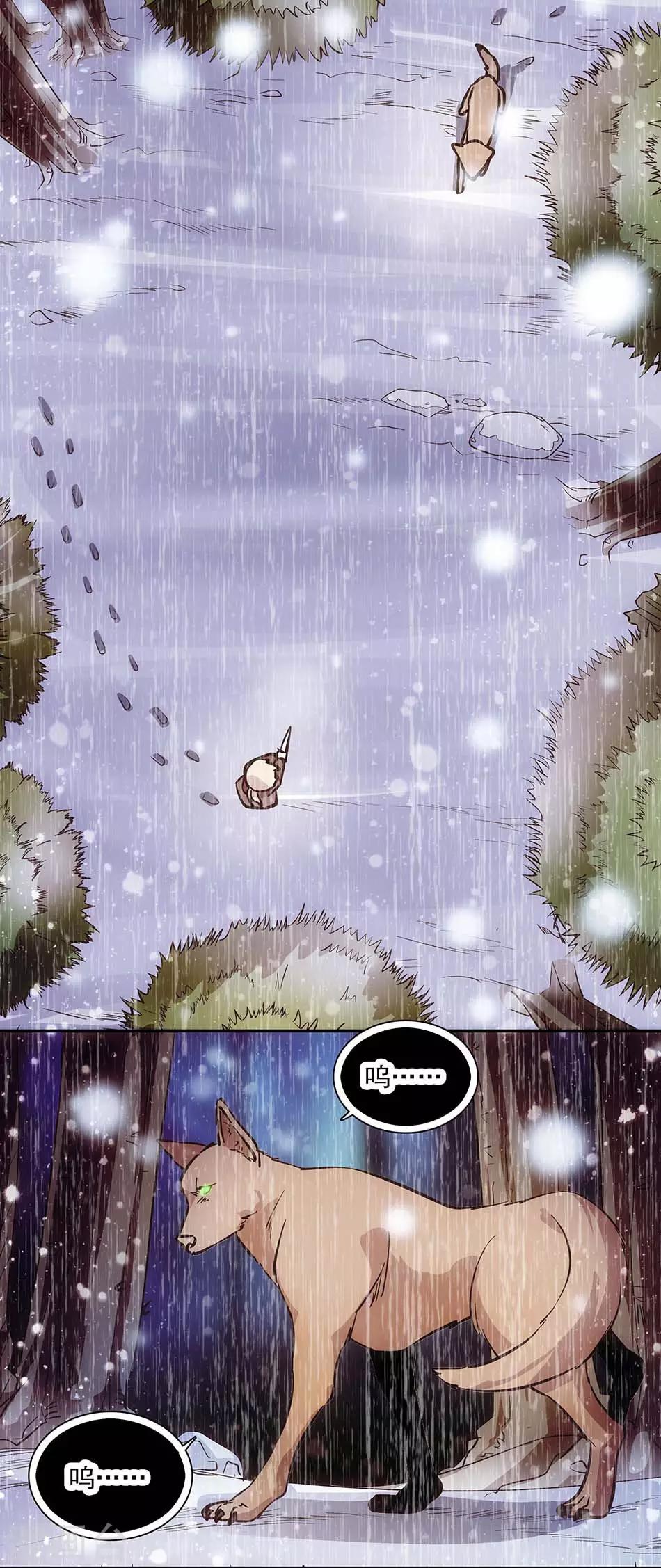 第107话 狗与忠诚-第107话