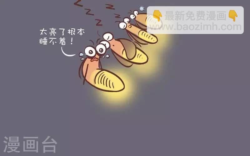 第45话  失眠-第45话