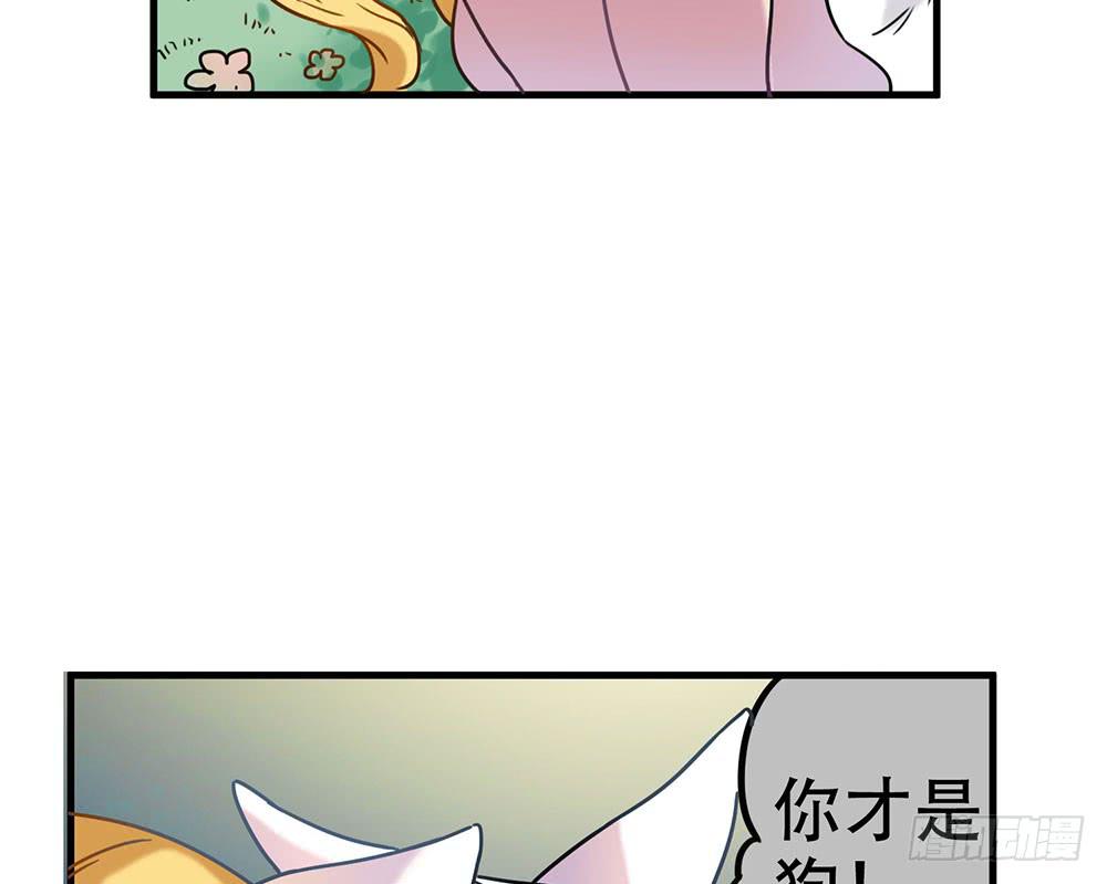 白狐与雀儿(1/2)-第7话