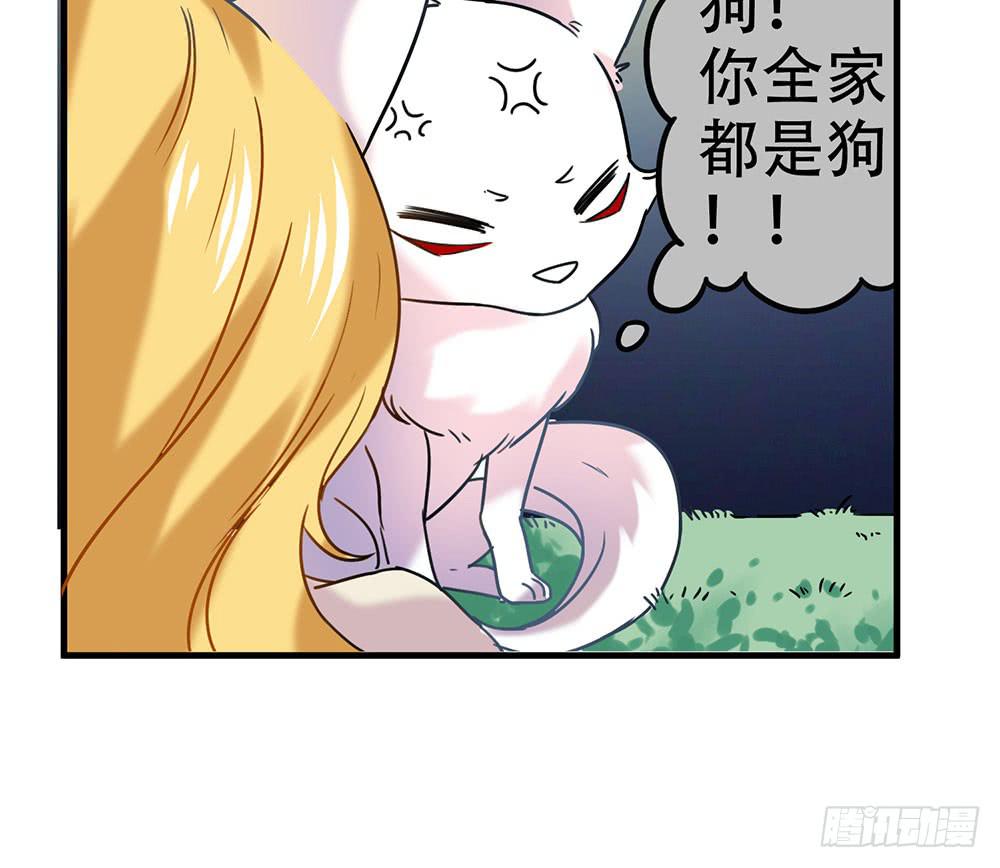 白狐与雀儿(1/2)-第7话