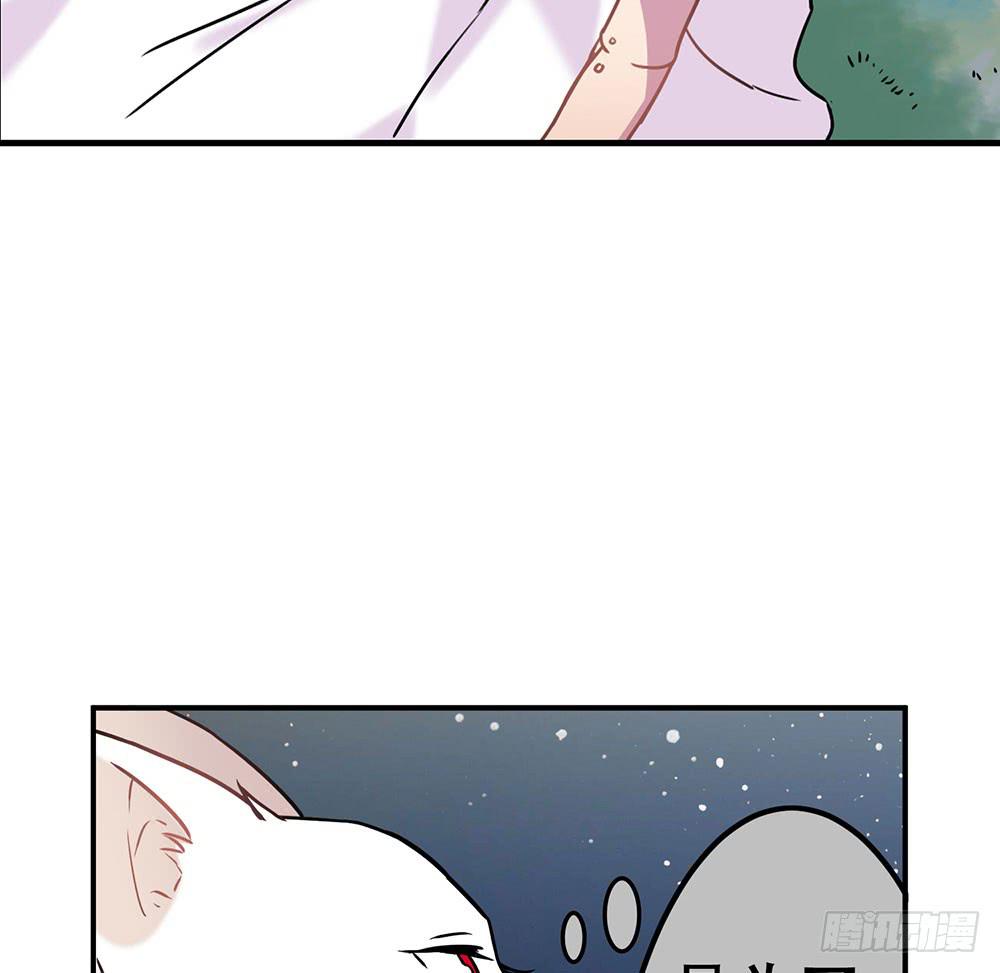 白狐与雀儿(1/2)-第7话