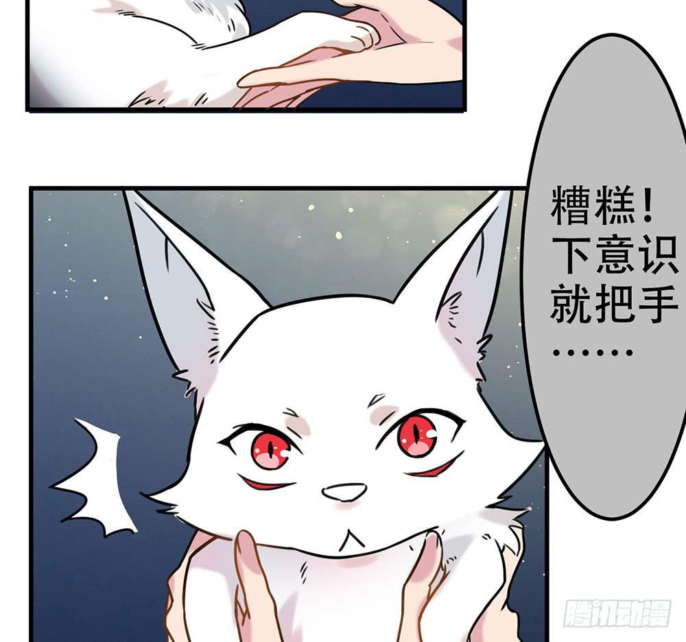 白狐与雀儿(1/2)-第7话