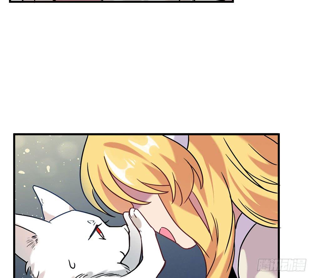 白狐与雀儿(1/2)-第7话