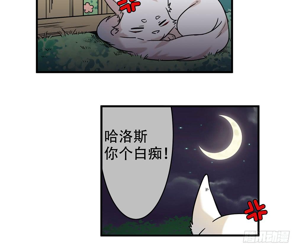 白狐与雀儿(1/2)-第7话