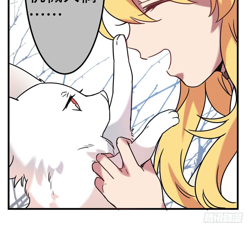 白狐与雀儿(1/2)-第7话