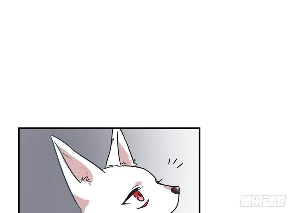 白狐与雀儿(1/2)-第7话