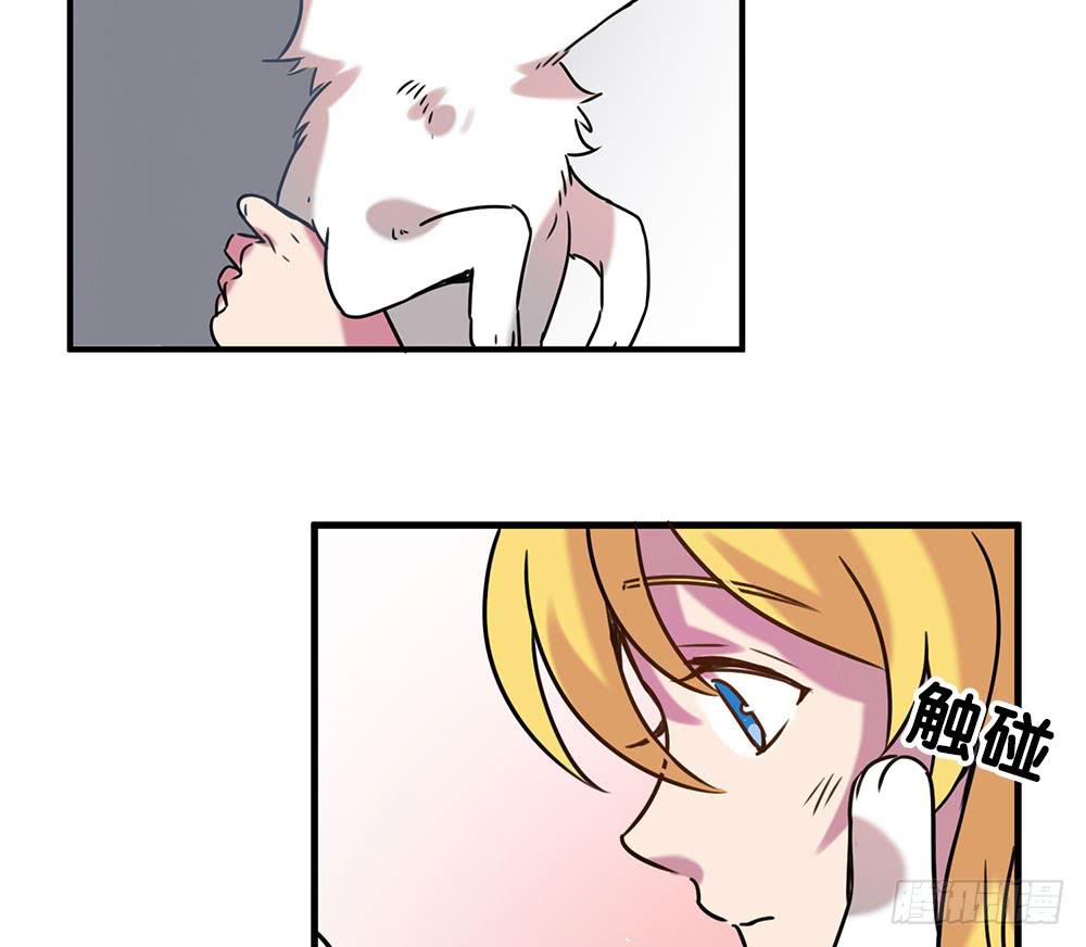 白狐与雀儿(1/2)-第7话