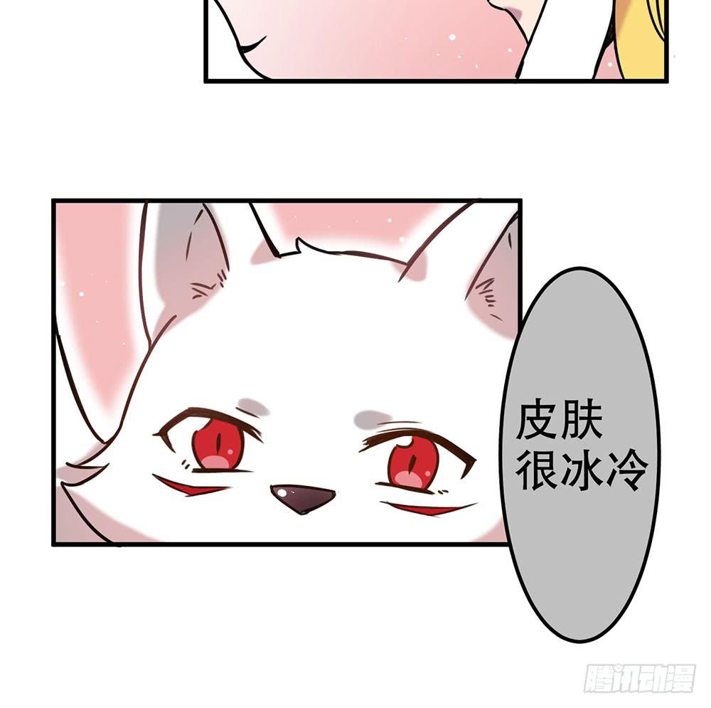 白狐与雀儿(1/2)-第7话