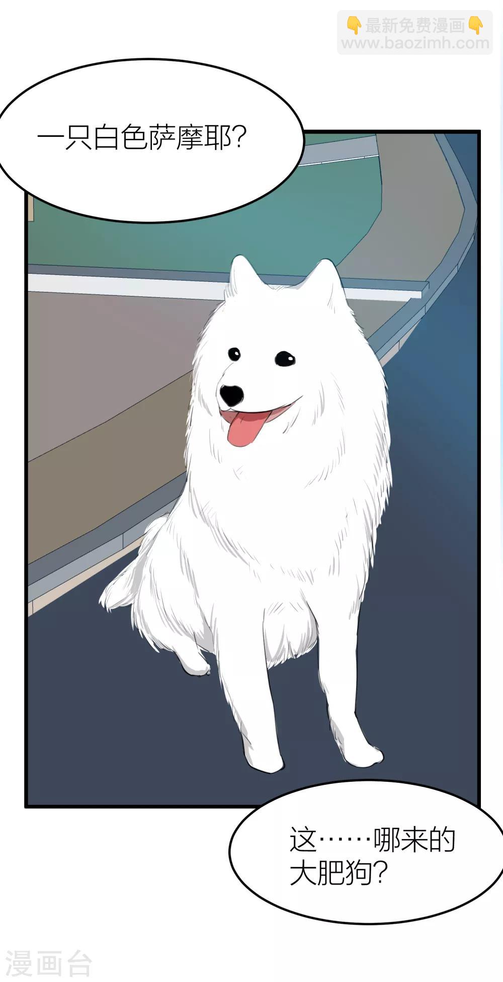 第31话 接近真相了嘛？(1/2)-第35话