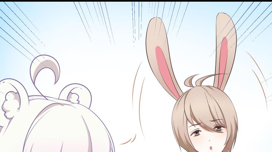 017兔子的诱惑(1/2)-第19话