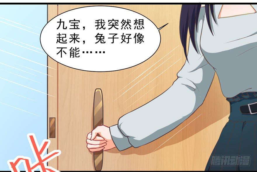 017兔子的诱惑(1/2)-第19话