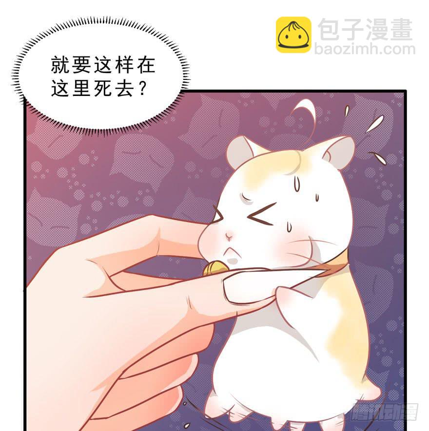 002美人救美(1/2)-第3话