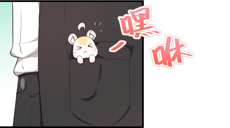 025九宝要被拍卖了-第31话