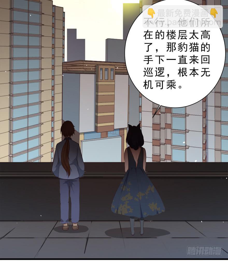 026殿下请别讨厌我(1/2)-第33话