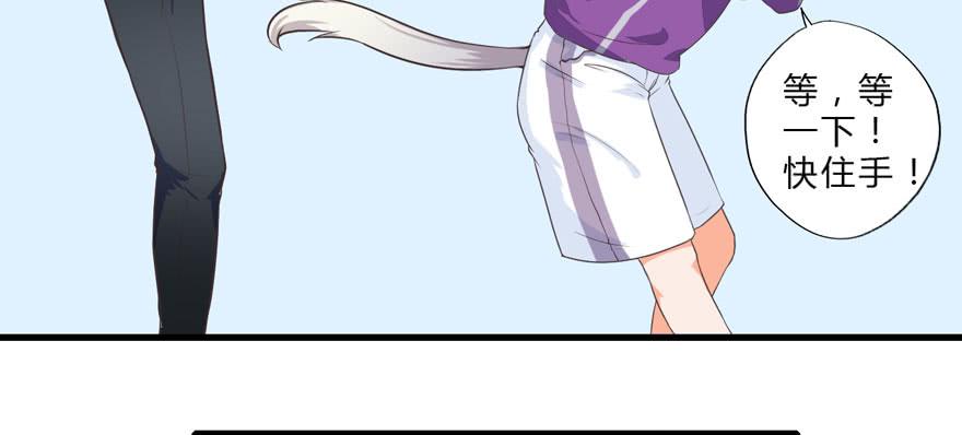 004取项圈大作战(1/2)-第5话