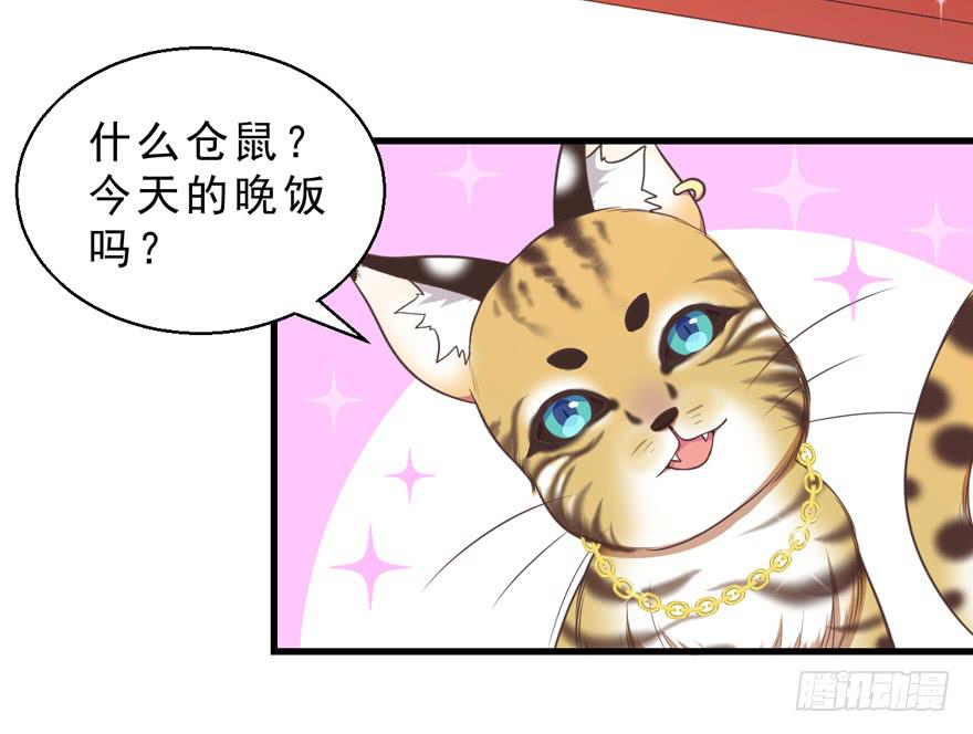 032兔子的秘密(1/2)-第41话