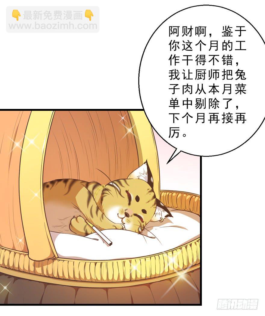 032兔子的秘密(1/2)-第41话