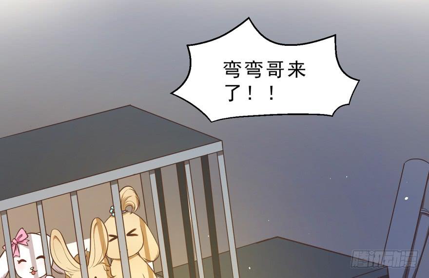 032兔子的秘密(1/2)-第41话