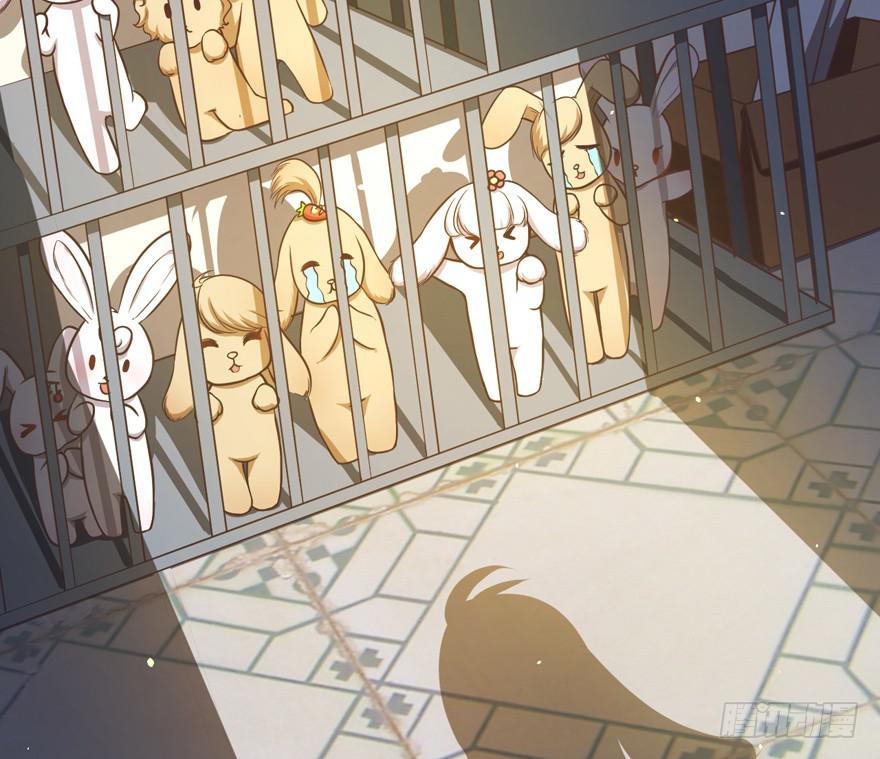 032兔子的秘密(1/2)-第41话