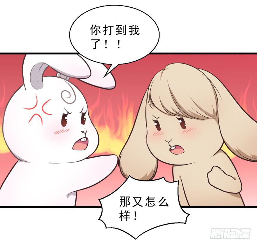 032兔子的秘密(1/2)-第41话