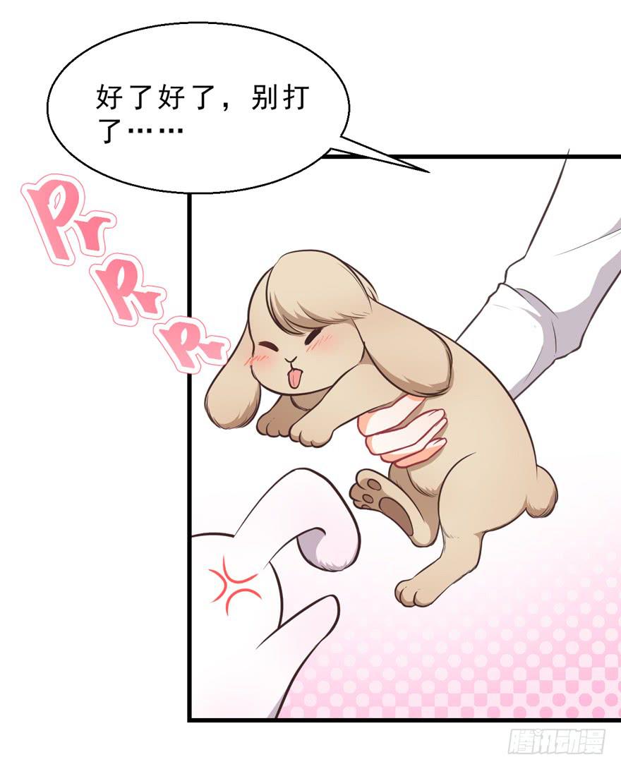 032兔子的秘密(1/2)-第41话