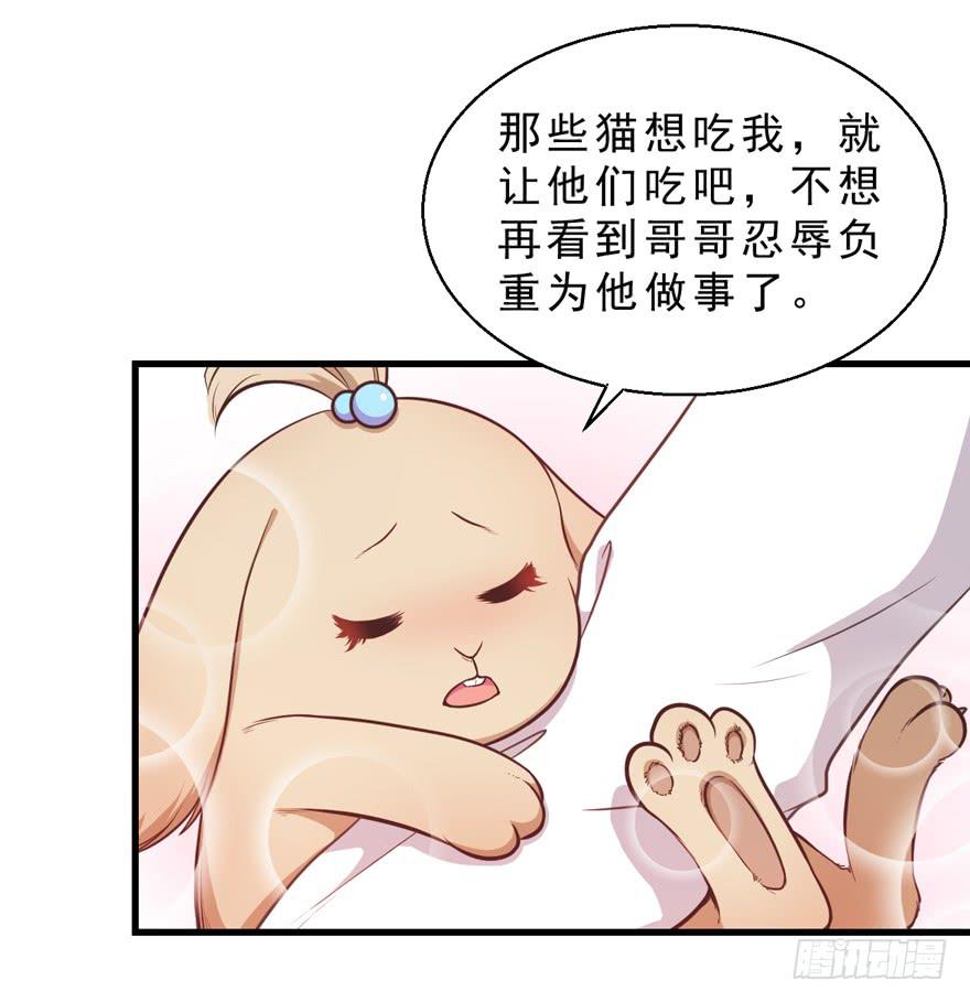 032兔子的秘密(1/2)-第41话