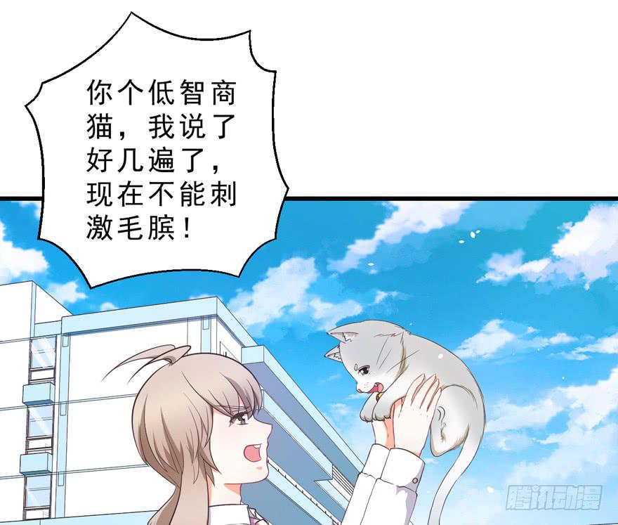 040委曲求全-第49话