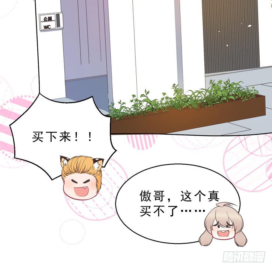 042和猫总裁的亲密约会-第51话