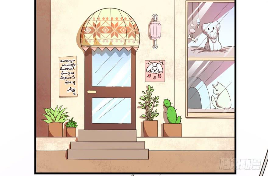 042和猫总裁的亲密约会-第51话