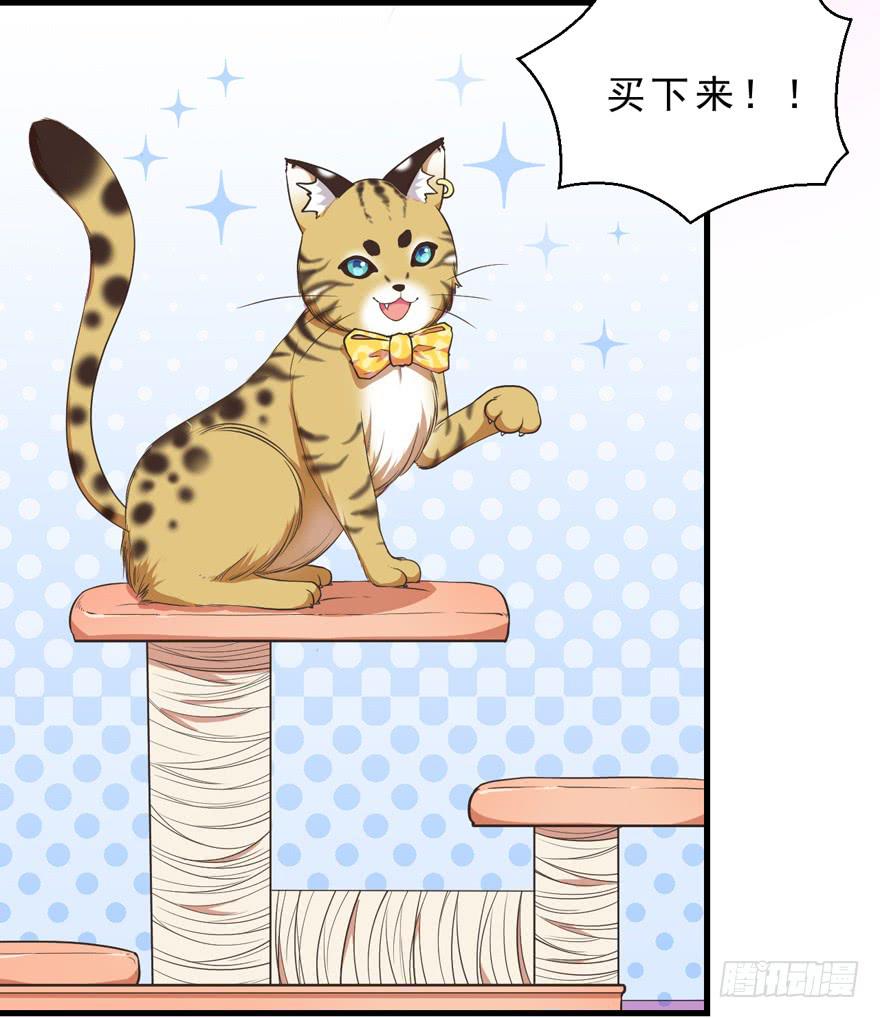 042和猫总裁的亲密约会-第51话