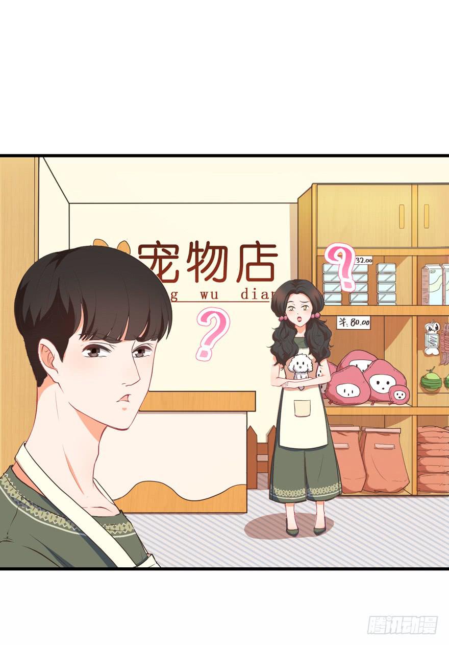 042和猫总裁的亲密约会-第51话