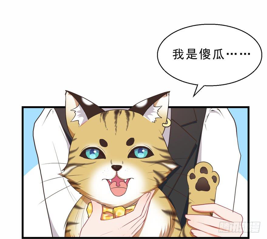 042和猫总裁的亲密约会-第51话