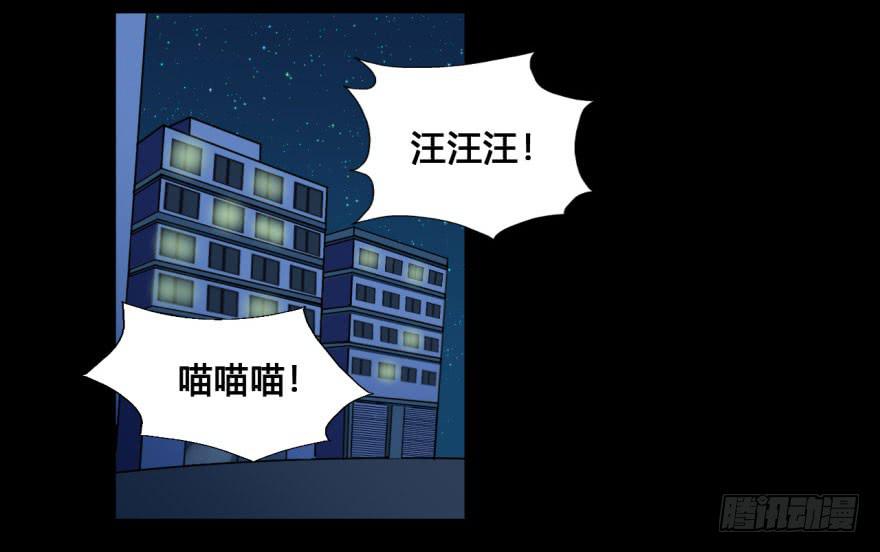 37 任务no.5另一个殷柴（三-第37话