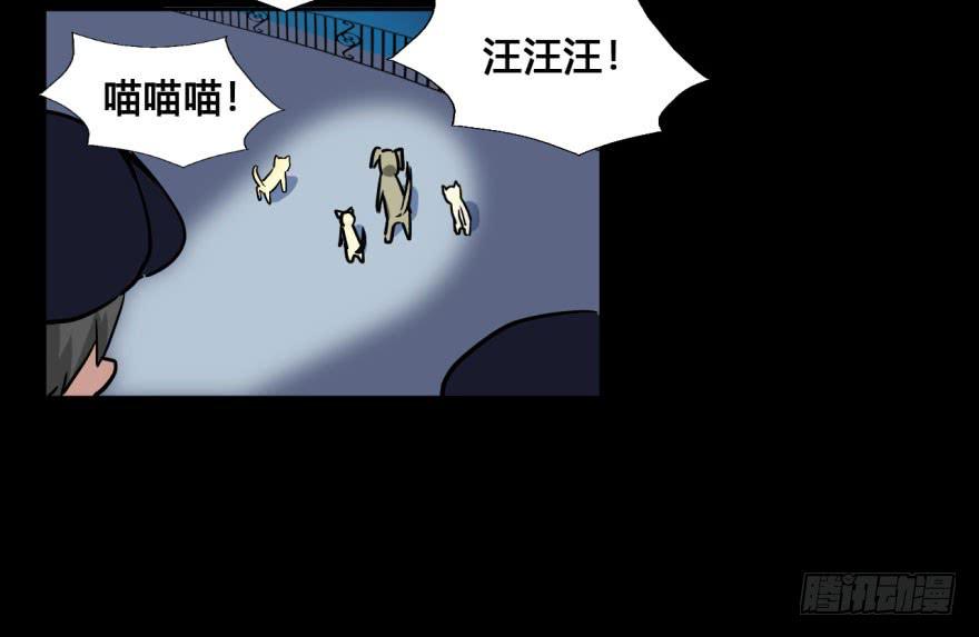 37 任务no.5另一个殷柴（三-第37话