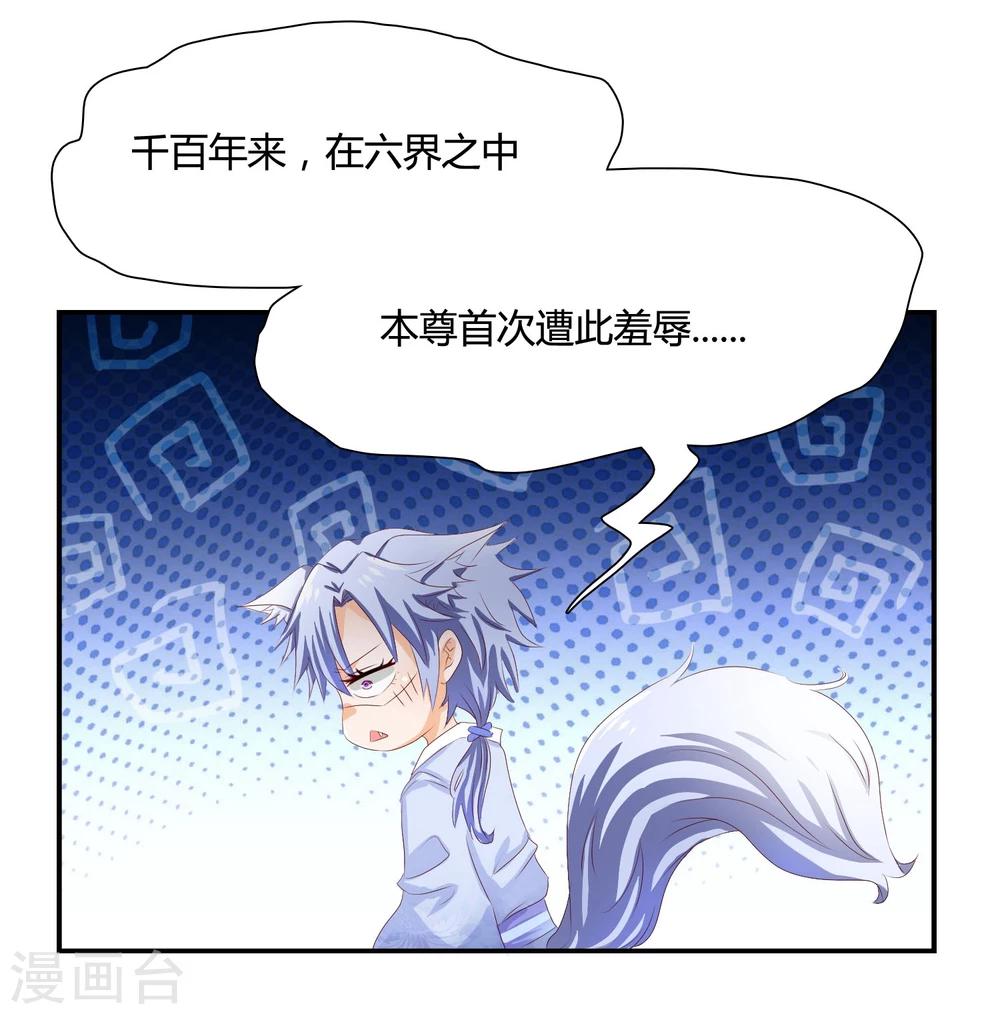別人吸貓我吸狐 - 第4話 從來沒人敢如此羞辱我！ - 1
