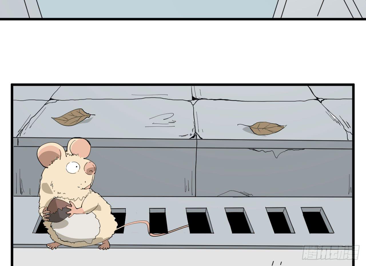 11.突击训练（上）(1/2)-第11话