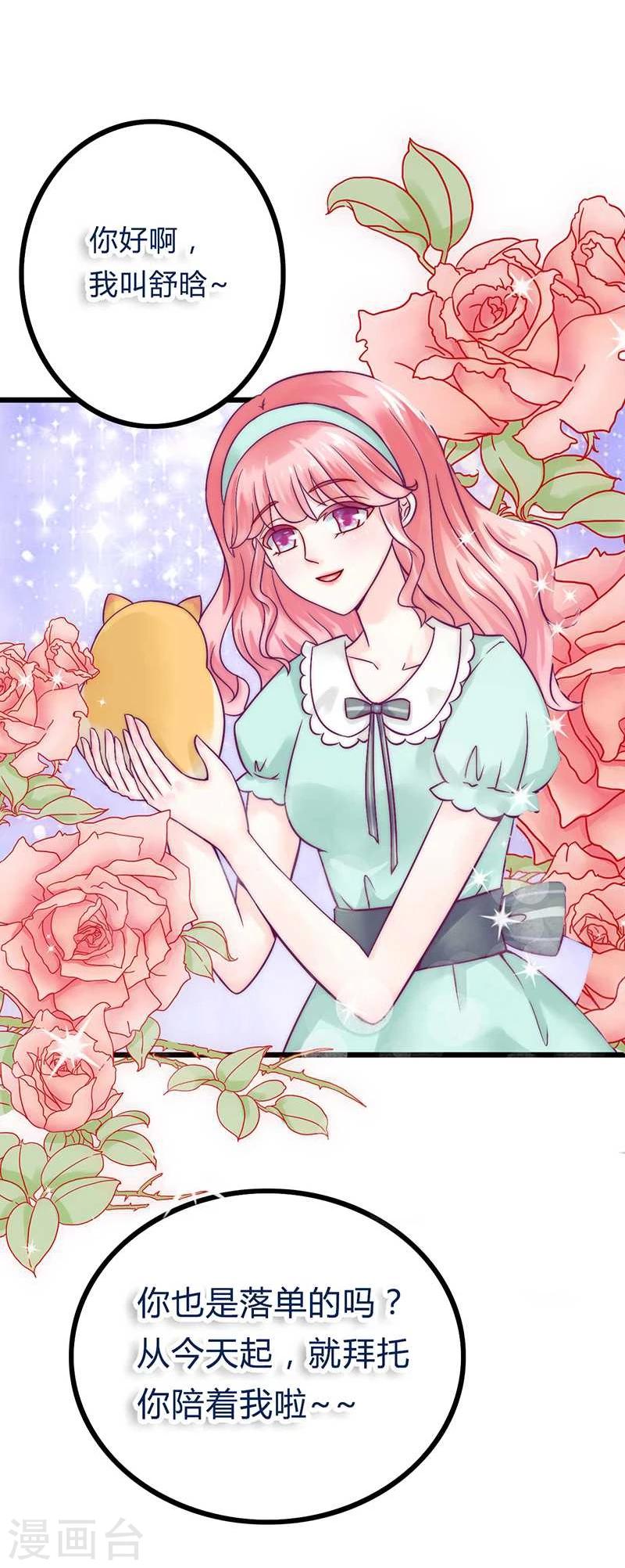 第21话 萌宠好有爱-第21话