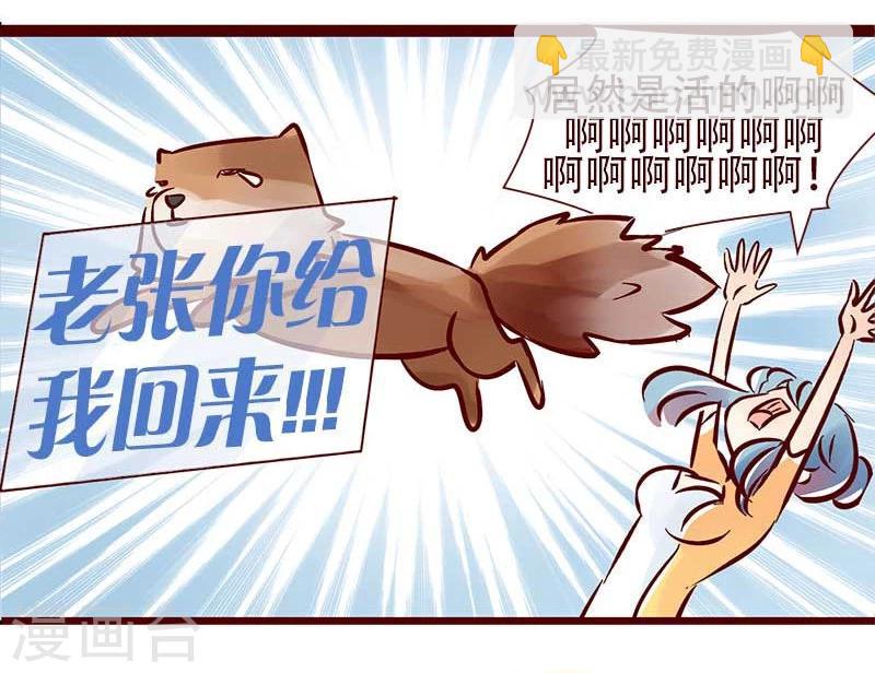 第54话 万万没想到-第55话