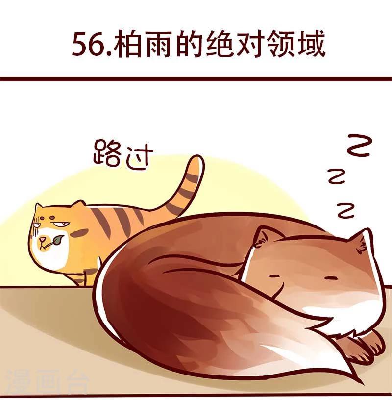 第56话 柏雨的绝对领域-第57话