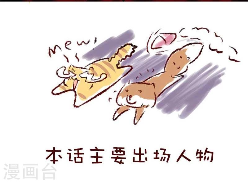 第56话 柏雨的绝对领域-第57话