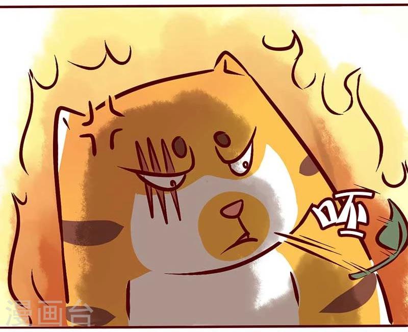 第56话 柏雨的绝对领域-第57话