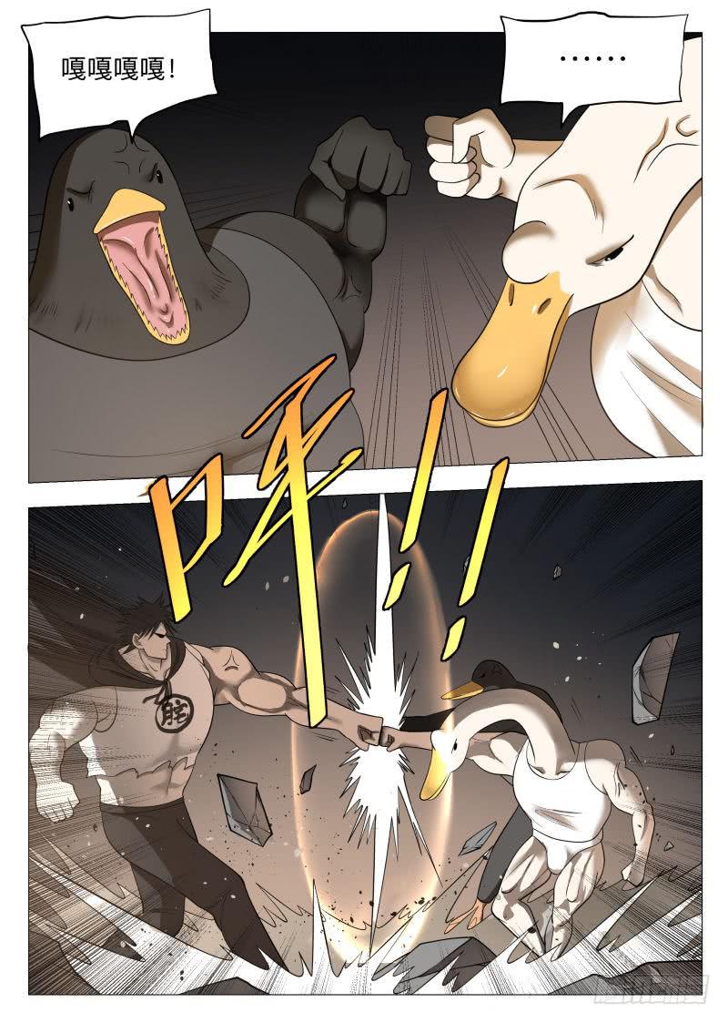 强者张淼-第39话