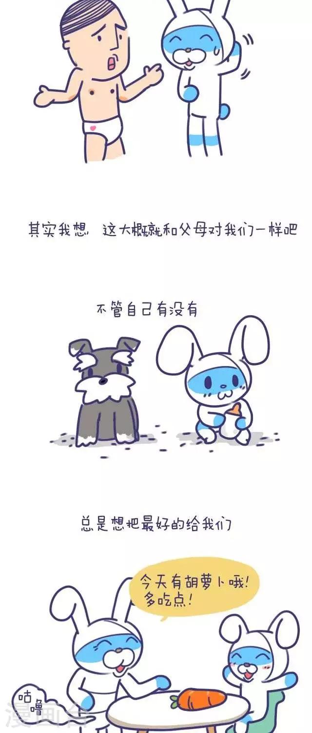 第43话  卜鲁兔与宝瓜-第43话