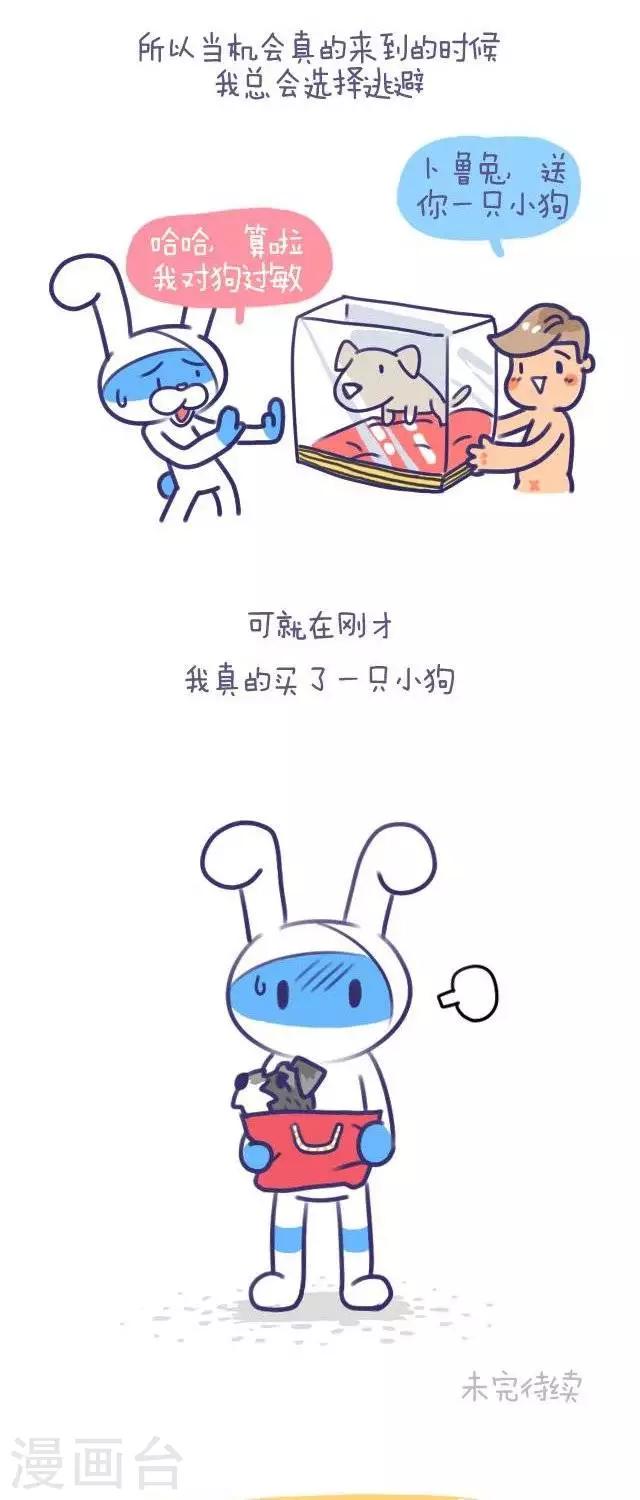 第43话  卜鲁兔与宝瓜-第43话