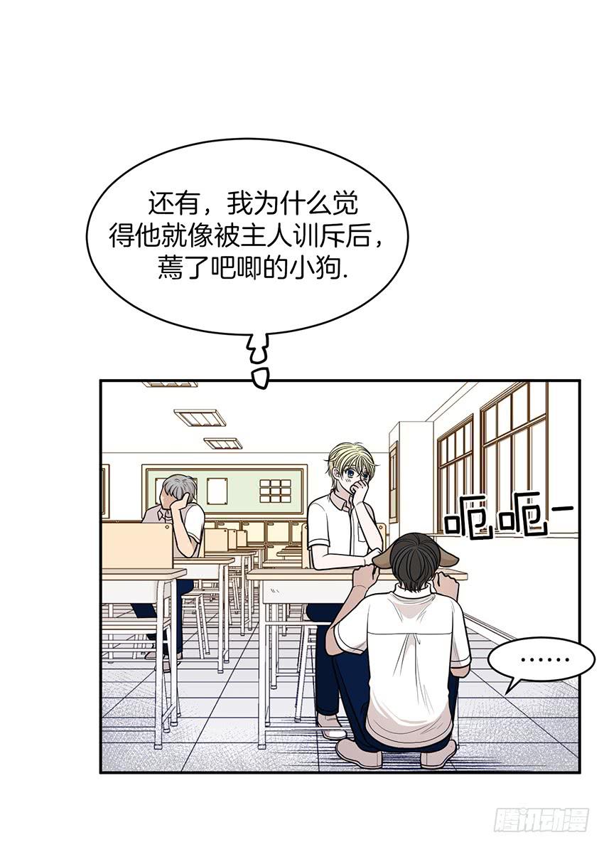 第十九话下-第39话