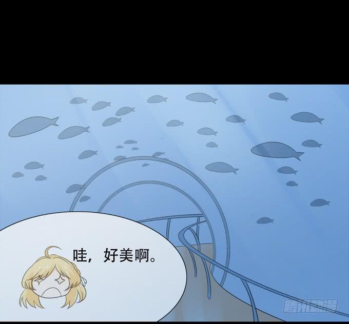 17-美丽的海洋馆~-第17话