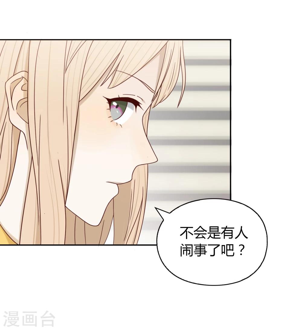 第38话 猎雕来袭-第39话