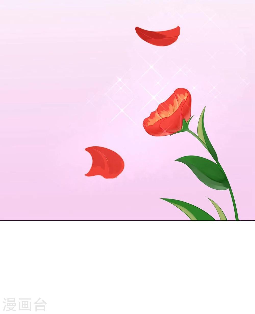 第19话(1/2)-第19话