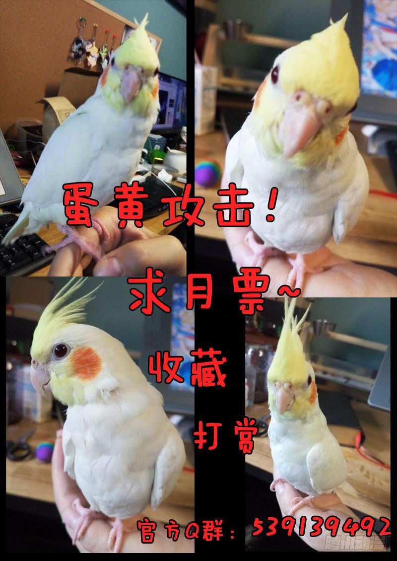 第二十七话-第31话